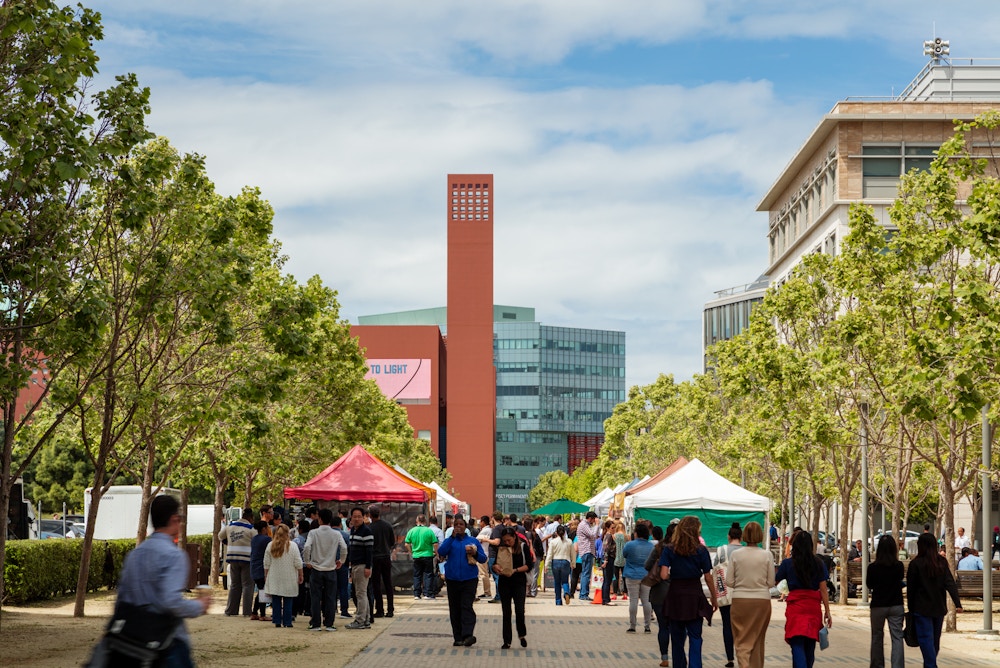 View across UCSF Quad (Photo by Tim Griffith)