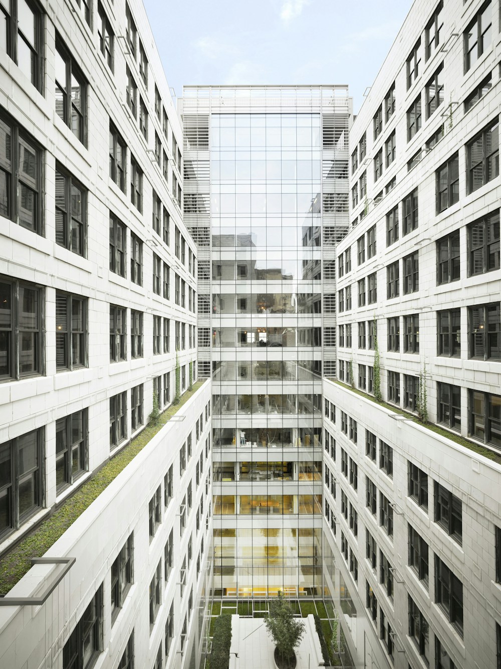 Transparent facade and surrounding existing terracotta cladding (Photo by Nikolas Koenig)