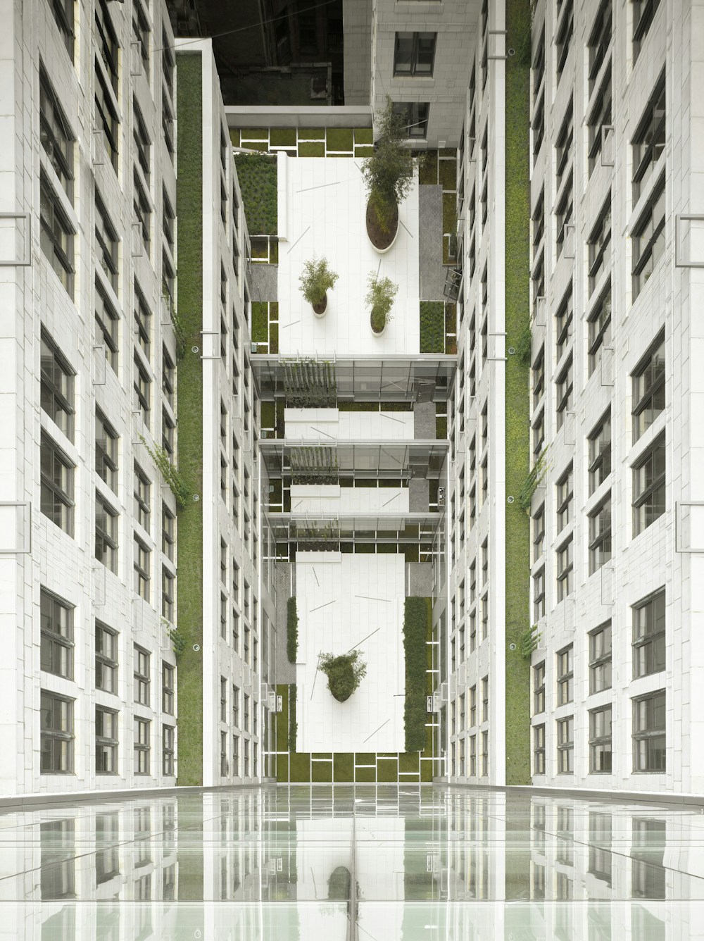 Landscaped courtyard and addition (Photo by Nikolas Koenig)