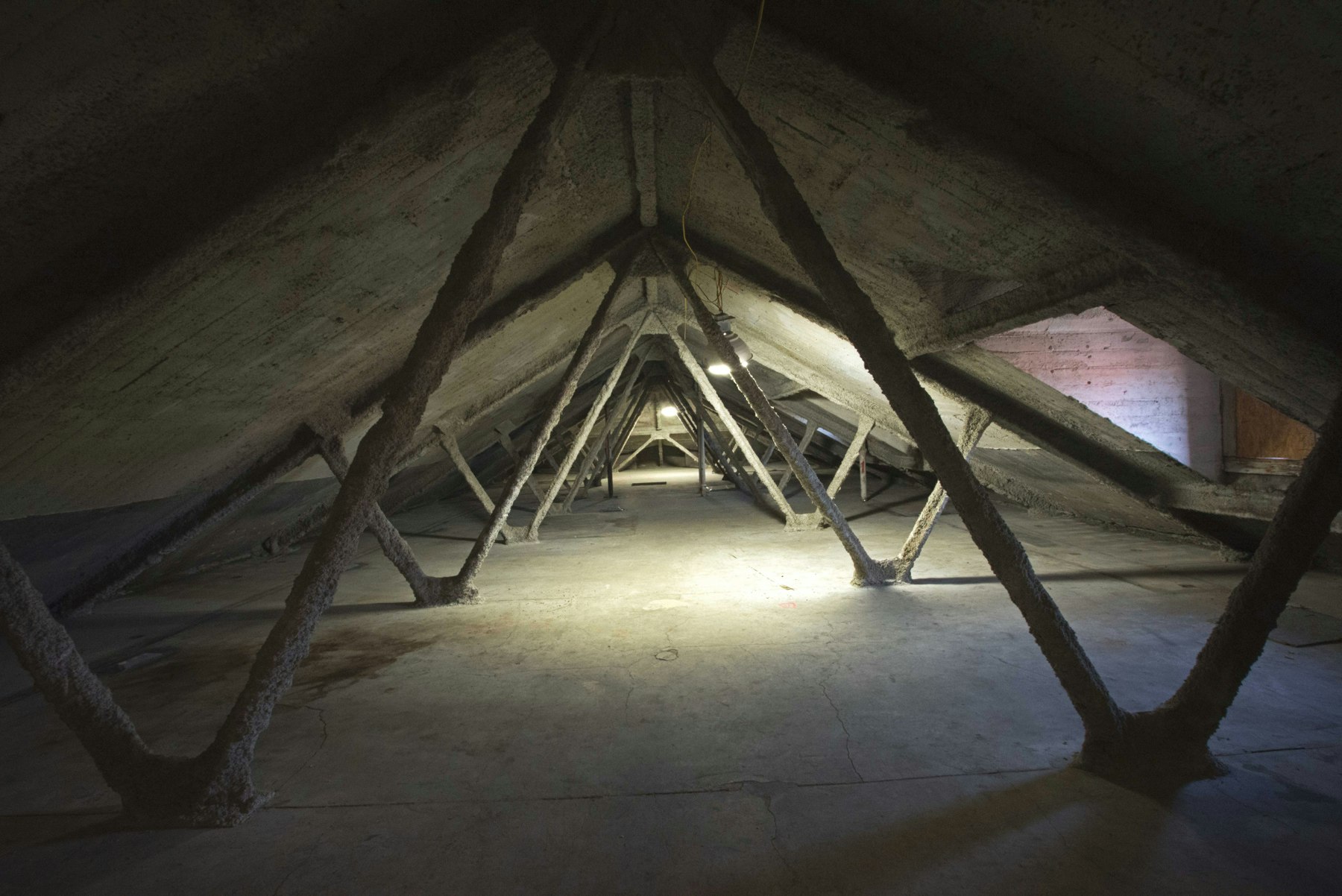 Attic Prior to Renovation