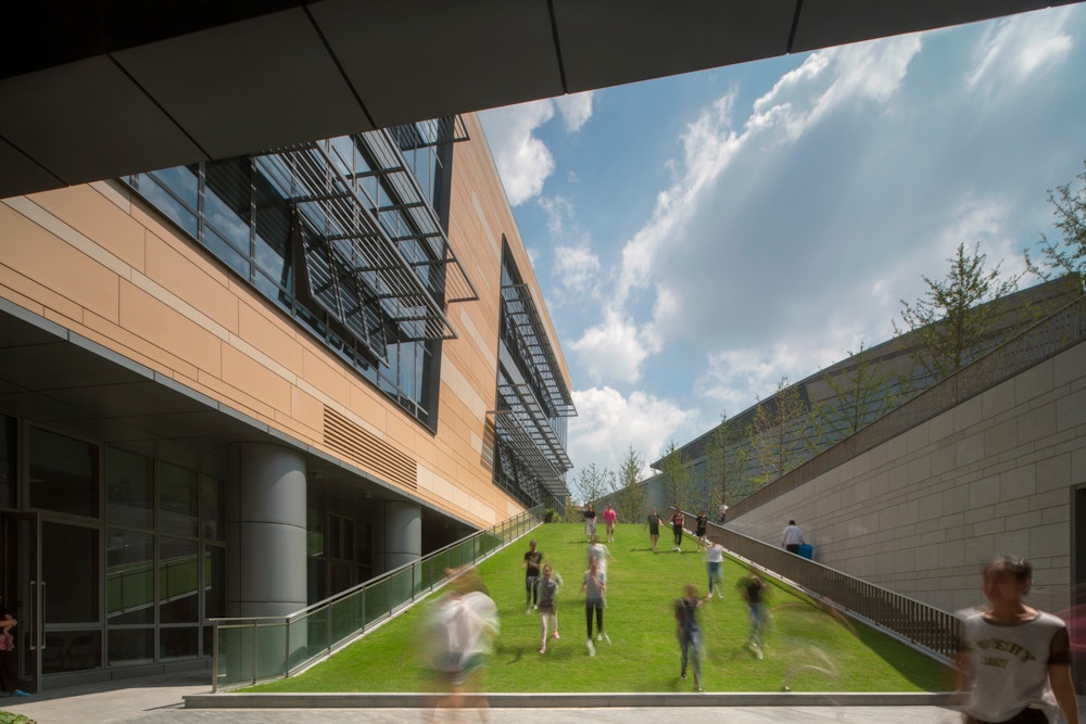 Extended garden (Photo by Nic Lehoux)