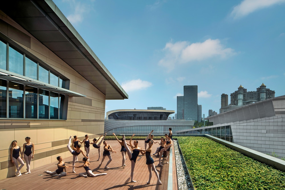 Roof terrace (Photo by Nic Lehoux)