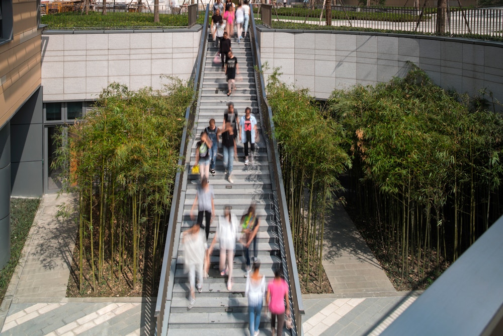 Walkway (Photo by Nic Lehoux)