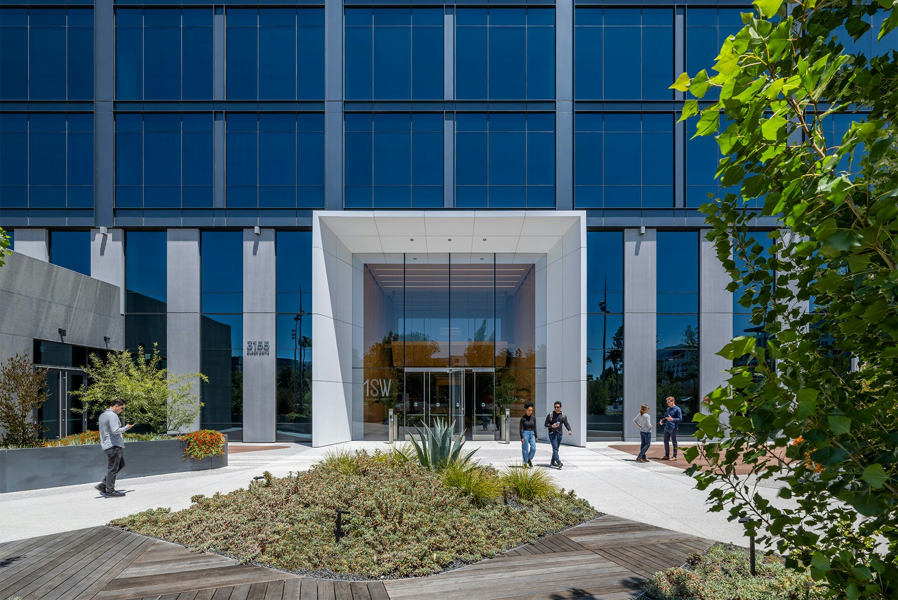 Native vegetation throughout the site