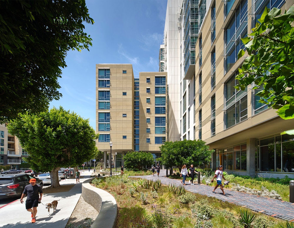 Open green space (Photo by Tim Griffith)