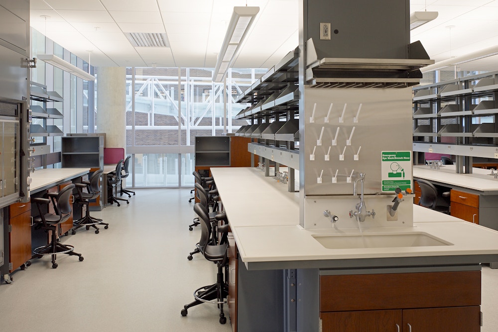 Lab (Photo by Brad Feinknopf)