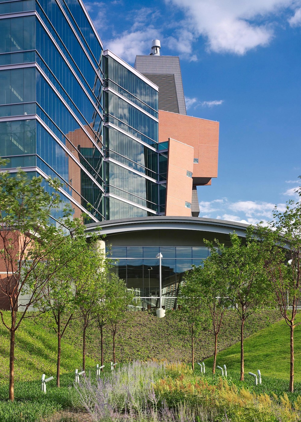 Western view (Photo by Brad Feinknopf)