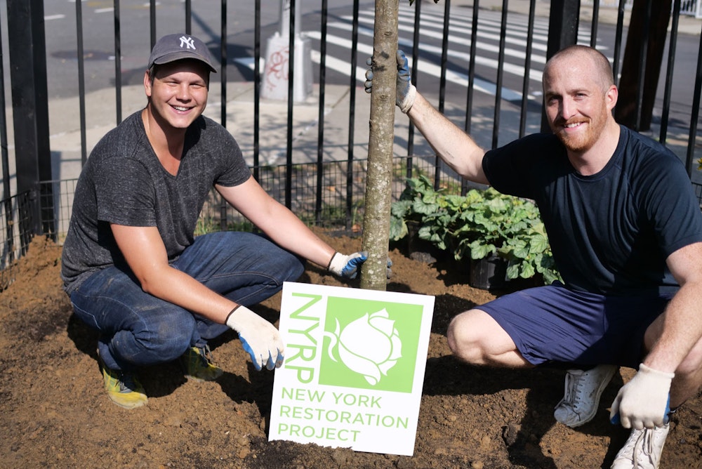 Getting Our Hands Dirty For A Greener Future