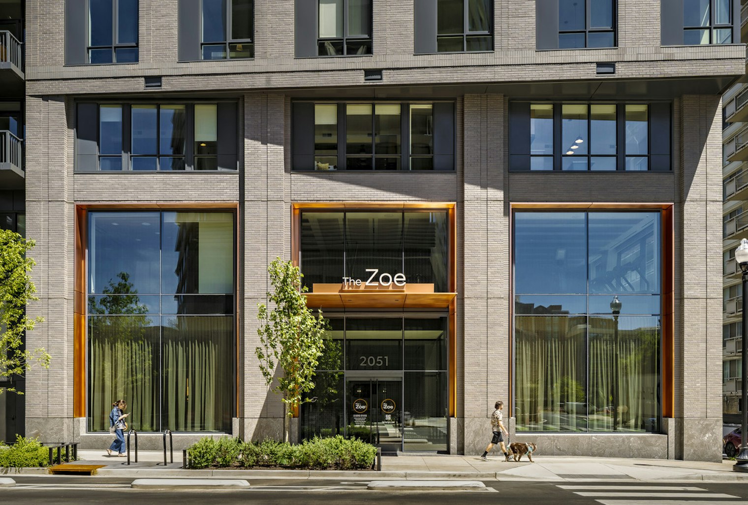 The Zoe