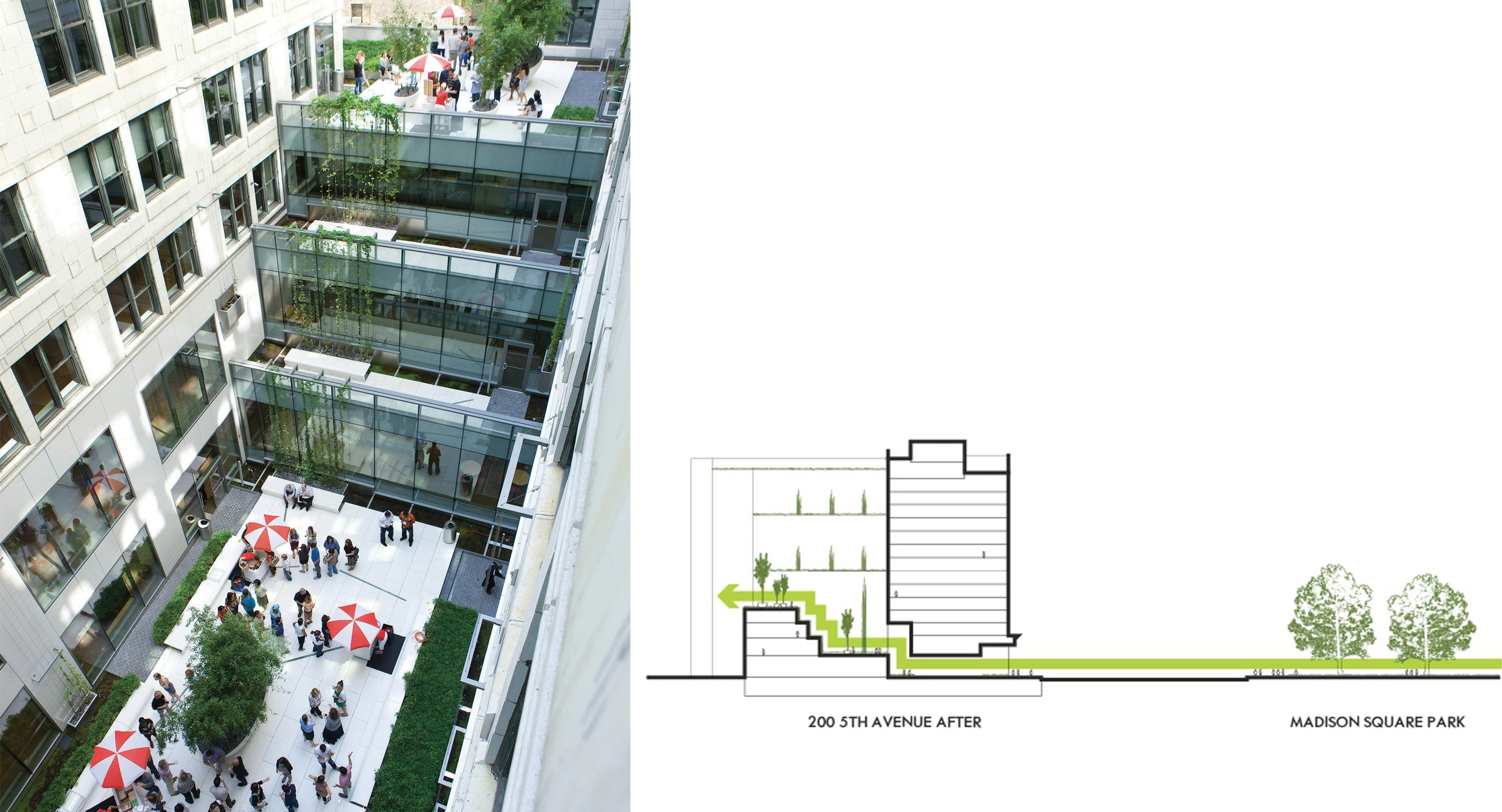 Courtyard landscape concept pulls in from Madison Square Park and up through the courtyard
