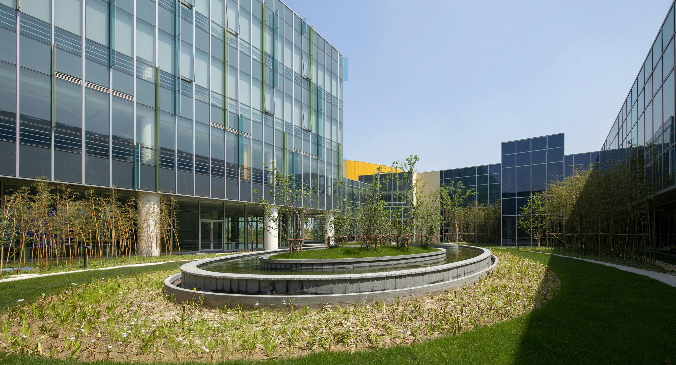 Courtyard Garden